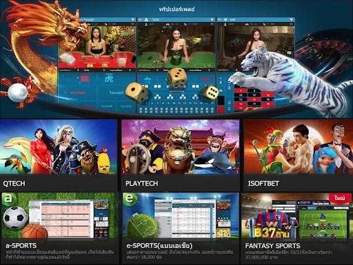 เกมปลาหมึก