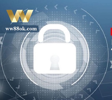 นโยบายของ W88